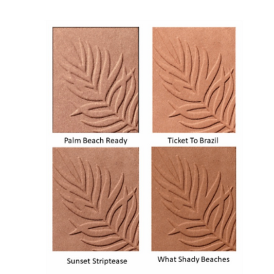 Wet & Wild Boost Bronzer